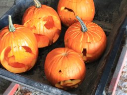 img_0094_web